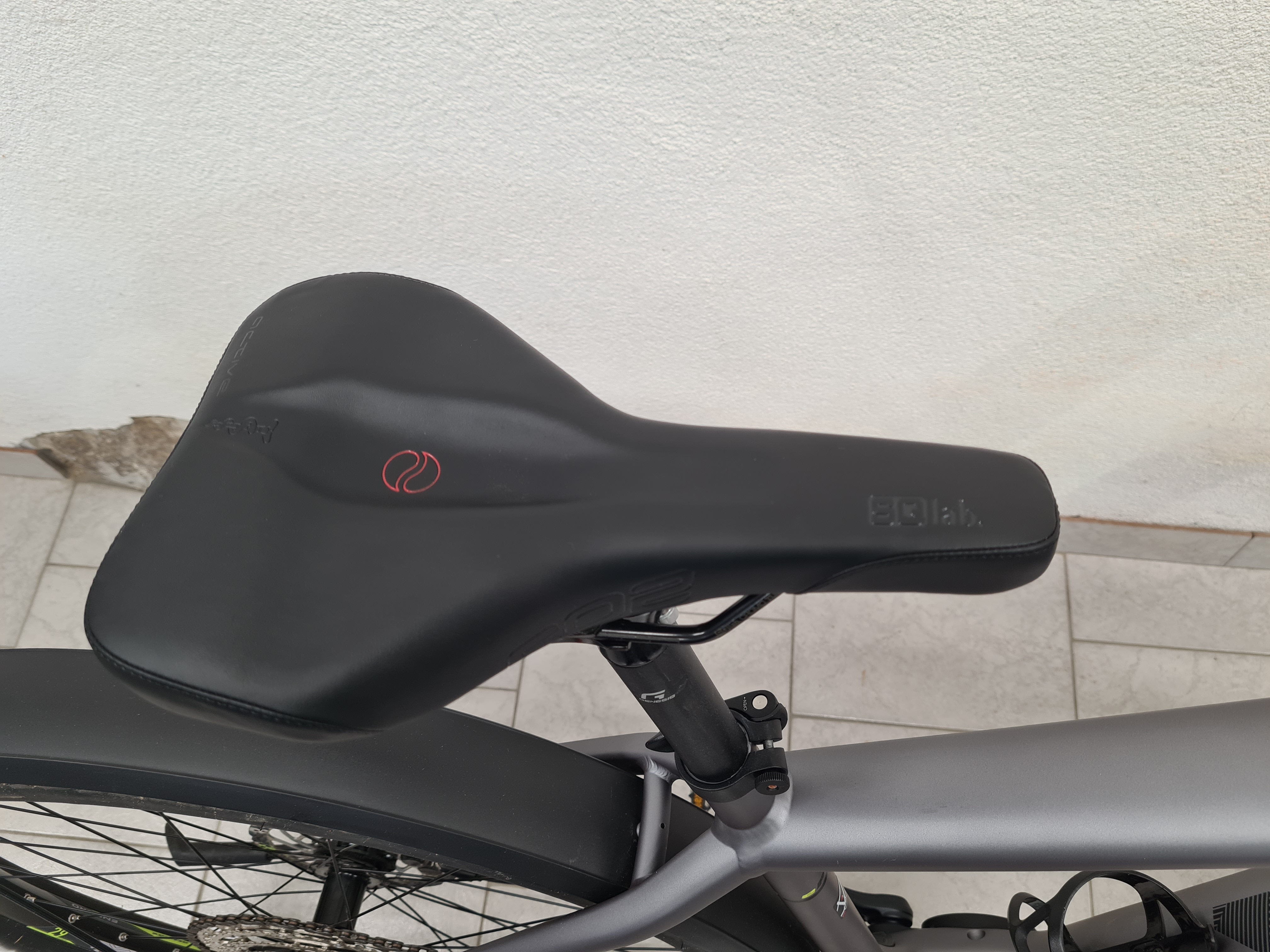 Leasingrückläufer Genesis E-Pro 2.3